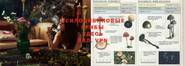 мяу мяу кристалл Баксан