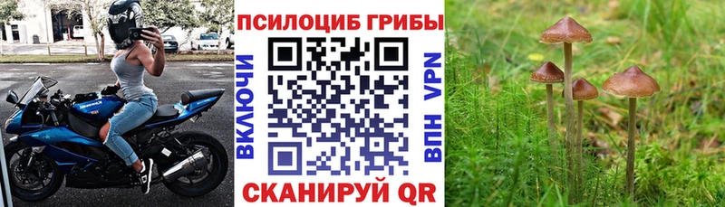 купить наркотики сайты  Лесной  Галлюциногенные грибы мухоморы 